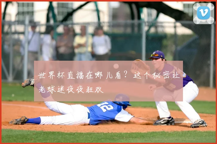 世界杯直播在哪儿看？这个秘密让老球迷夜夜狂欢