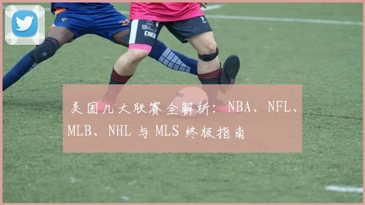 美国几大联赛全解析:NBA、NFL、MLB、NHL 与 MLS 终极指南